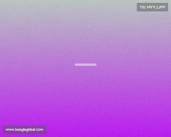 黄石体育赛事、黄石体育馆演唱会