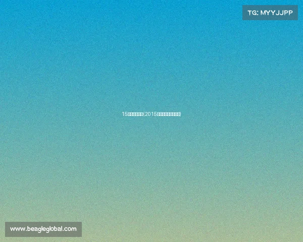 15年的搏击赛事(2015年全国自由搏击冠军)