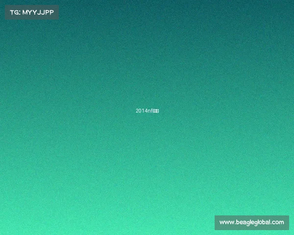 2014nfl冠军 2014nfl冠军