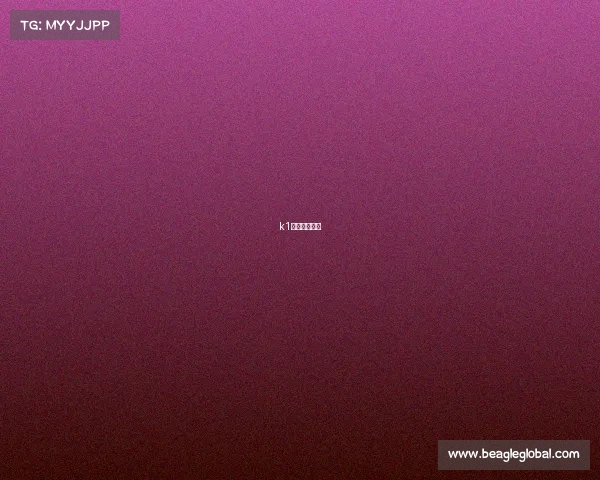 k1联赛直播免费