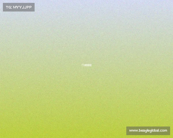 f1阿布扎比站 f1阿布扎比站