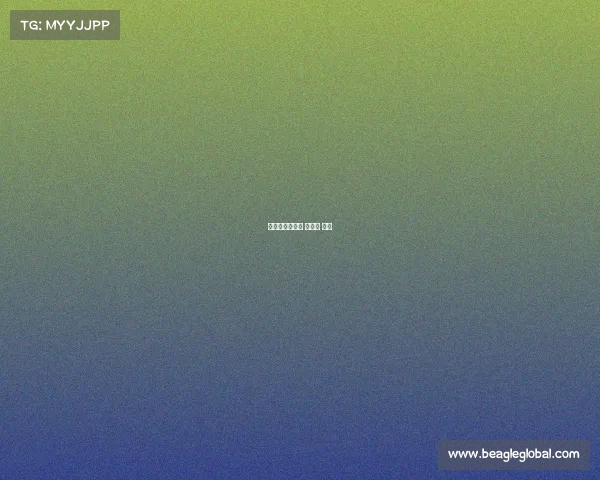 世界杯赛事比赛 世界杯 比赛