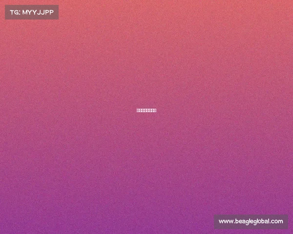 中国男篮赛事时间