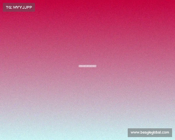 乓乓赛事情况—乓乓球赛事