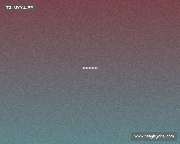 对体育赛事的理解和认识